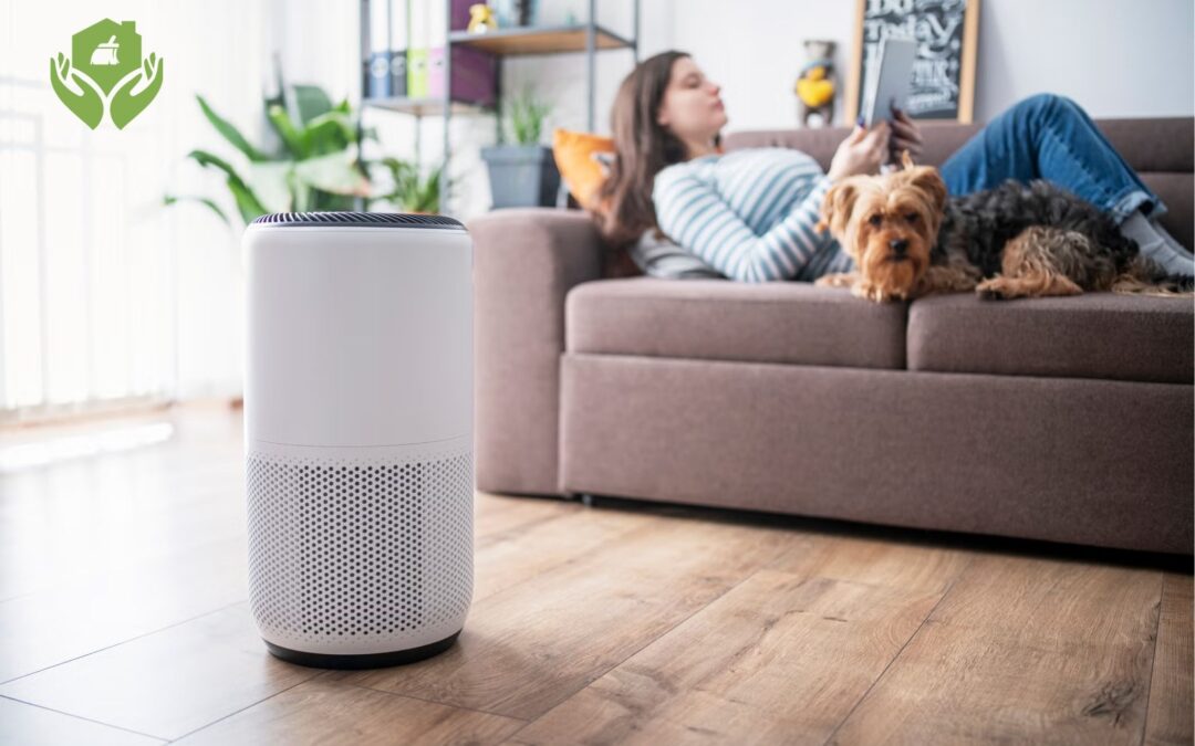 7 cách làm sạch không khí trong nhà, tiêu diệt vi khuẩn hiệu quả