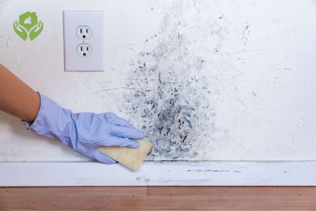 Cách xử lý nấm mốc trên tường trong mùa nồm