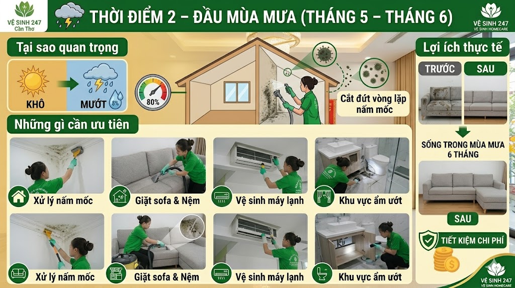 Tổng Vệ Sinh Nhà Theo Mùa: 4 Thời Điểm Vàng Bạn Không Nên Bỏ Lỡ